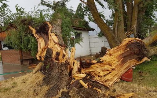 Graves destrozos por el temporal de viento en la Cordillera