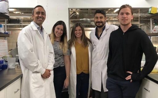 Argentinos crearon un método para detectar el coronavirus en apenas 60 minutos