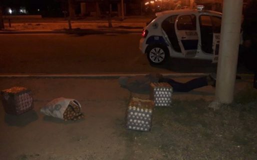 Los atraparon de madrugada llevándose unos 1.500 huevos