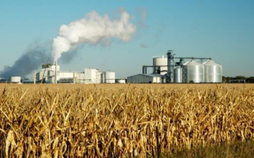 Evalúan destinar bioetanol utilizado en combustibles para producir alcohol en gel