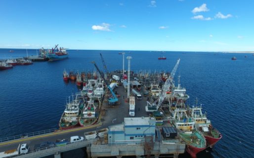 Las actividades operativas portuarias están comprendidas dentro de las excepciones