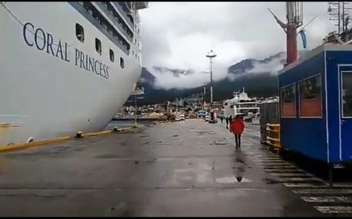 Extranjeros que viajan en un crucero estuvieron en Ushuaia y provocaron alarma en la población
