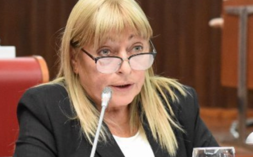 El PJ – Frente Patriótico pide la intervención del ministerio de Seguridad