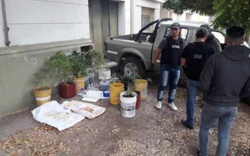Aprehendieron a dos concejales de Cambiemos por plantar marihuana en el INTA