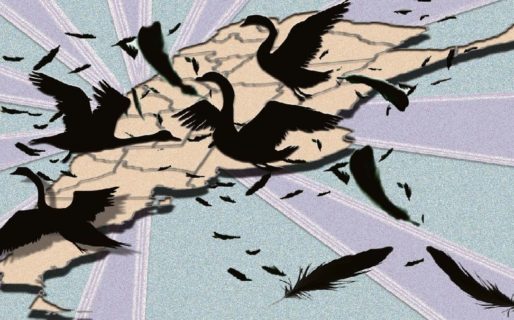 COVID-19 y crisis petrolera: cisnes negros que complican aún más el escenario económico argentino