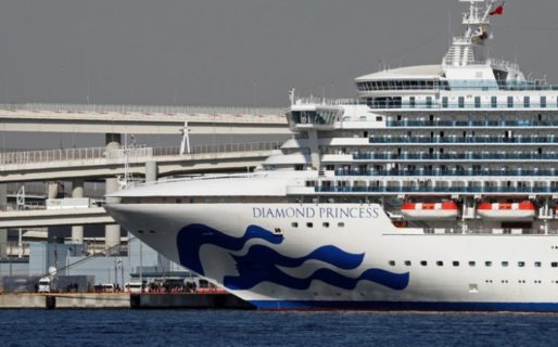 Coronavirus: El primer argentino que se contagió en el crucero japonés se recuperó y volvió al país