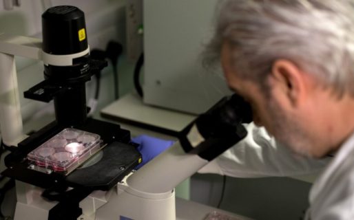 Hay 12 casos positivos más de Coronavirus y llegan a 21 los infectados