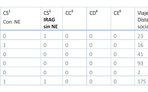 Siguen siendo 31 los casos confirmados a nivel nacional, ninguno en Chubut