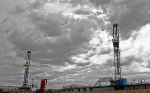 «Para Vaca Muerta, este año está jugado»