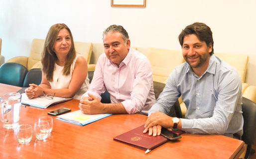 Diputados critican al gobierno por la “parálisis del Estado”