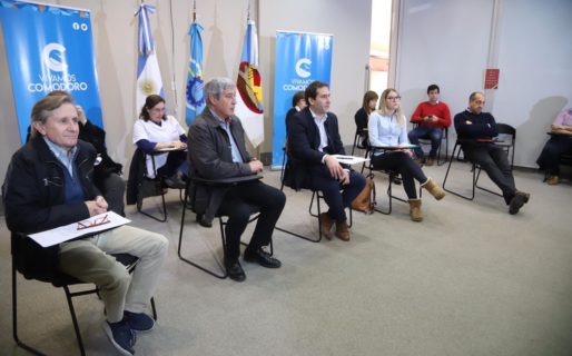 Luque coordinó una videoconferencia con los más prestigiosos referentes de la infectología nacional