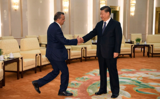 Día a día: cómo fue el manejo de la OMS en la pandemia del coronavirus y por qué despierta tantas sospechas