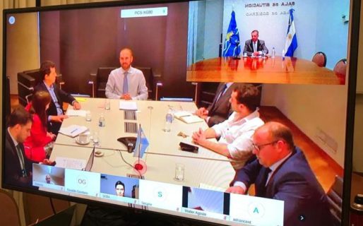 Antonena participó en una videoconferencia con los ministros Guzman y De Pedro