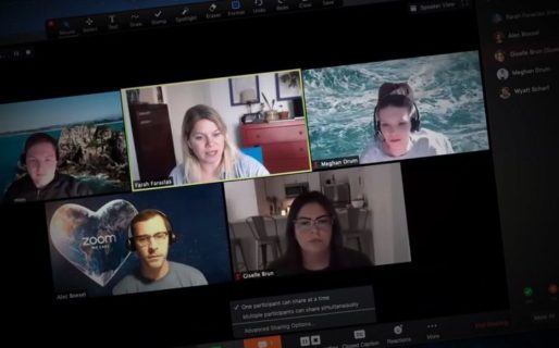 Clave: Zoom permitirá reportar ataques de trolls en tiempo real