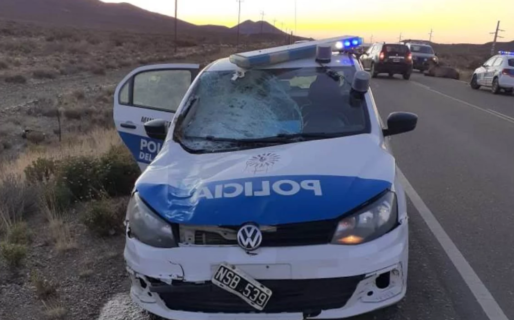 Un patrullero atropelló un caballo en la ruta cerca de Diadema