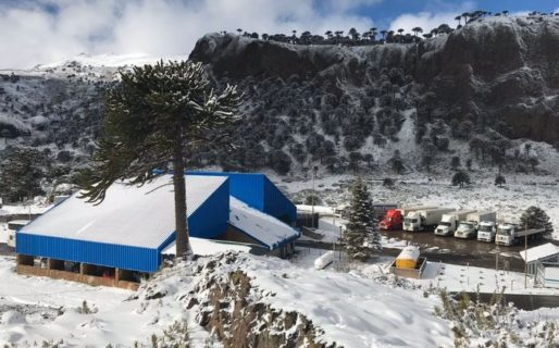 Varados argentinos en Chile vendrán por Pino Hachado