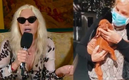 Trascendió cómo fue el accidente que sufrió Susana Giménez por el que debió ser internada