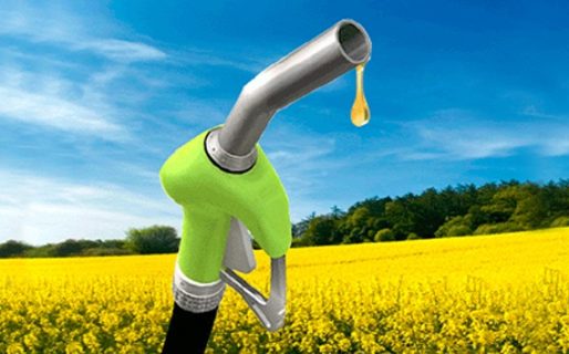 Estados Unidos ratificó los aranceles para el biodiesel argentino