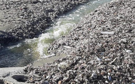 Malestar en la Villa por la descarga de efluentes de la Laguna en la Bajada 16