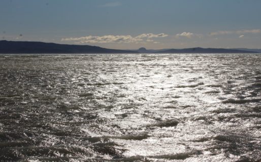 Carrizo: “Estimamos que en marzo podríamos tener problemas con el nivel del lago”