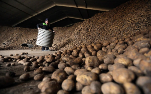 “Sin comida no puede haber salud»: el acceso a los alimentos y la nutrición durante la pandemia