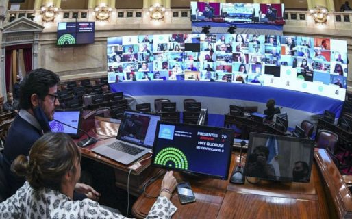El Senado sesiona en forma virtual para sancionar leyes a distancia