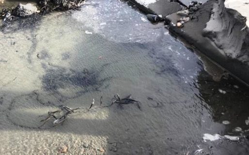 El Ministerio de Ambiente inspeccionó el desagüe de la Bajada 16 de Rada Tilly