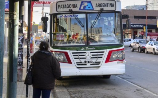 Rodrigues: «La frecuencia del servicio depende de las actividades que se reanudan»