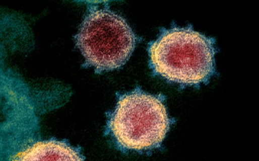 ¿Cómo se contagia realmente el virus?