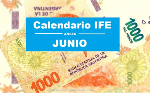 Definieron las fechas de cobro del segundo bono del IFE