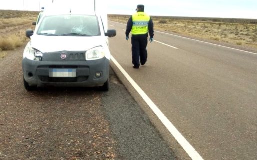 Un furgón impactó con un guanaco sobre ruta 3 en Garayalde