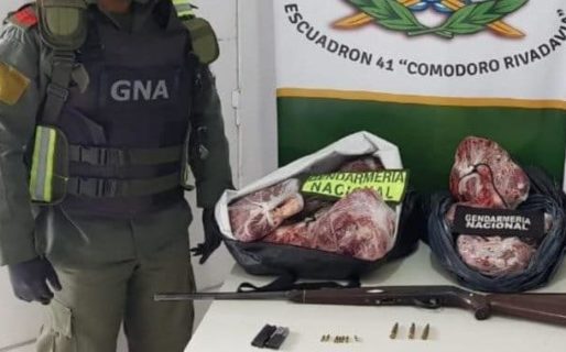 Lo atraparon en un control con 40 kilos de carne de guanaco
