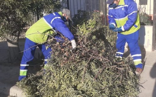Urbana informó el cronograma de recolección durante el feriado