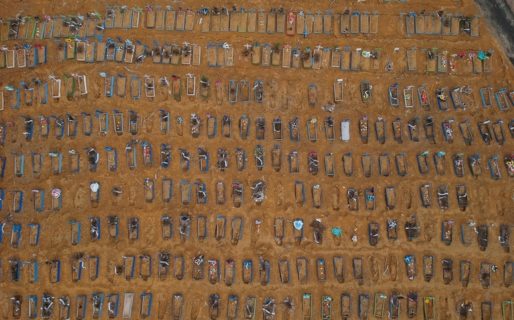 En Brasil talaron un bosque tropical para abrir cientos de tumbas