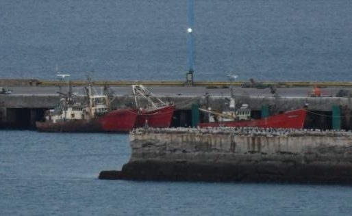 Luque: “El director del Puerto habló de circulación viral y no es así”