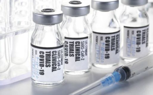 Cuál es la verdadera situación en la búsqueda de una vacuna