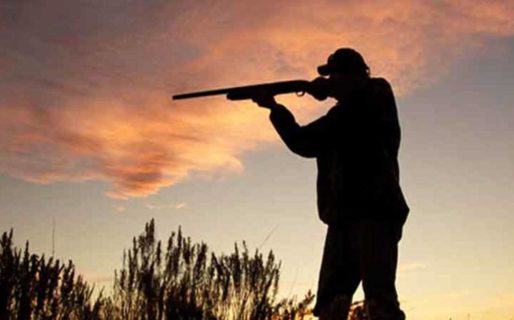 La temporada de caza 2020 en Chubut se encuentra vedada en todo el ámbito provincial