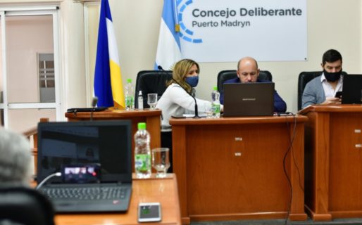 Diputados provinciales hicieron prueba para sesionar online