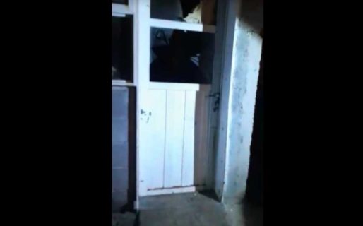 Mujer golpeada por su pareja intentó quitarse la vida frente a sus hijos y policías