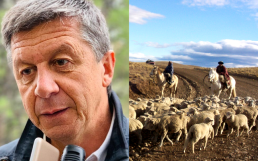 Menna impulsa la prórroga por 10 años del Régimen para la Recuperación de la Ganadería Ovina