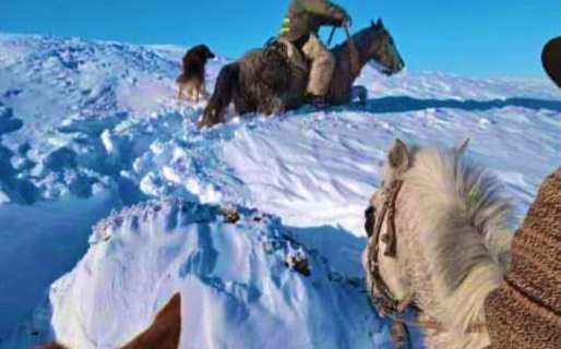 Cushamen, con 750 habitantes, aislada y sin electricidad por un temporal de nieve