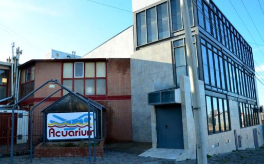 Empleados de Acuarium dicen que cierra y ofrece retiros voluntarios