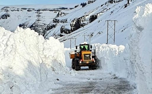 Las impresionantes imágenes que está dejando el invierno más crudo de la Patagonia en los últimos 20 años