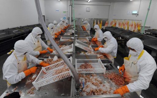 La Cámara de Empresas Pesqueras valoró la responsabilidad de los trabajadores