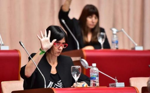 “Hay que ocuparse de la gente y no de la cuasinovela de Torres Otarola”