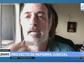 El insólito fondo de Zoom de Esteban Bullrich: utiliza una foto suya para ausentarse en las sesiones