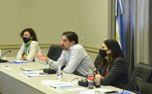 El 95% de los hogares recibió propuestas pedagógicas de la escuela