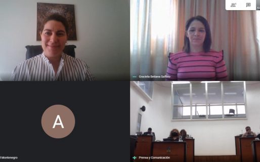 Ana Clara Romero propuso la creación de un Consejo Consultivo de Cannabis Medicinal en Comodoro