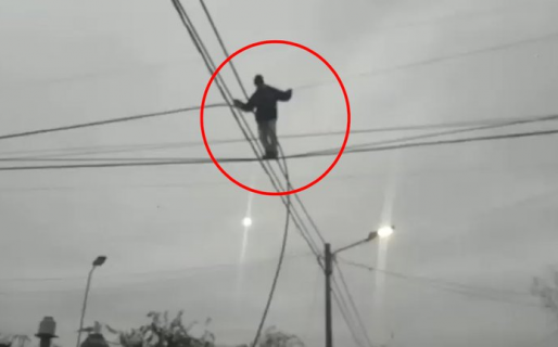 Un ladrón “equilibrista” se trepó a un poste de luz para robar cables