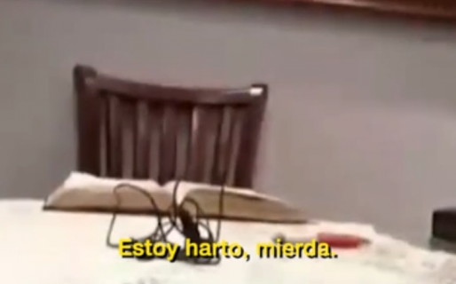 Un pastor evangélico agredió a su esposa sin saber que estaba en vivo y continuó como si nada